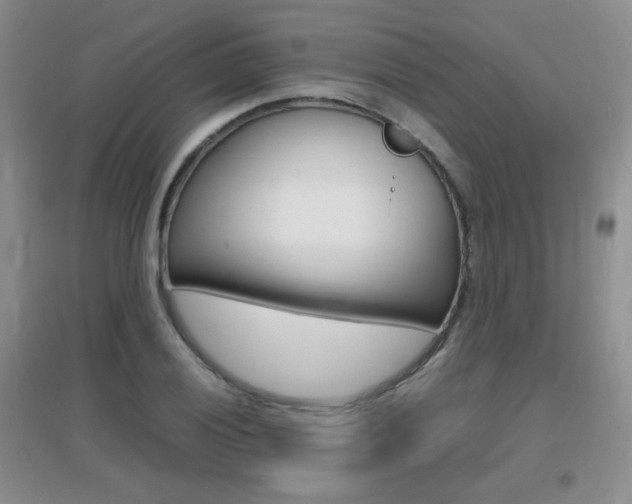 X0000096941028200802080854
