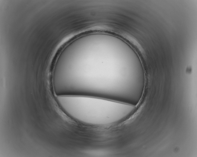 X0000096941029200802080854