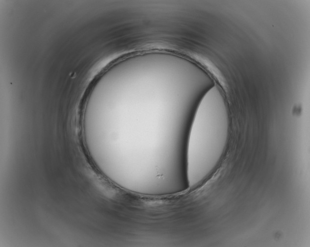 X0000096941031200802080854