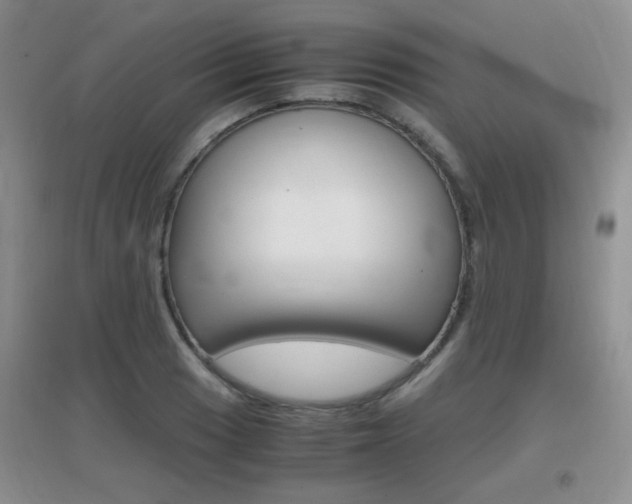 X0000096941033200802080854