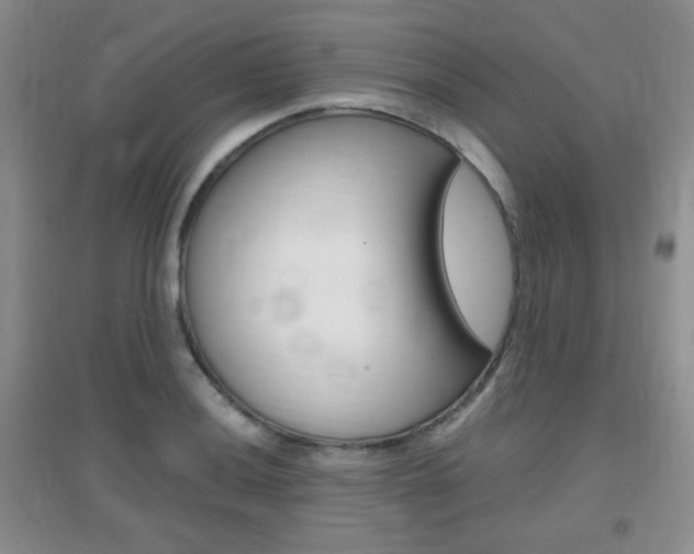 X0000096941036200802080854