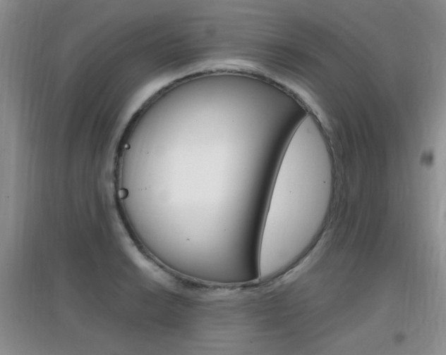 X0000096941038200802080854