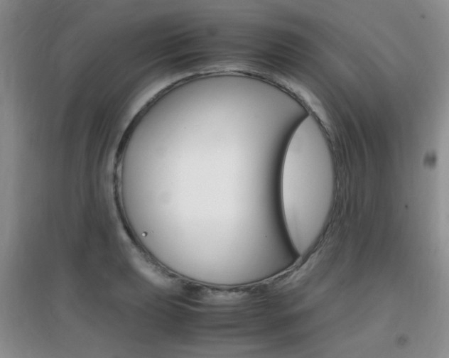 X0000096941039200802080854