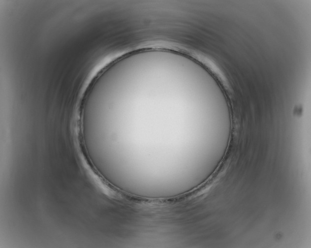 X0000096941040200802080854