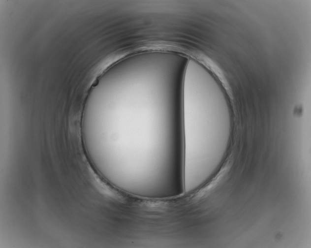 X0000096941041200802080854