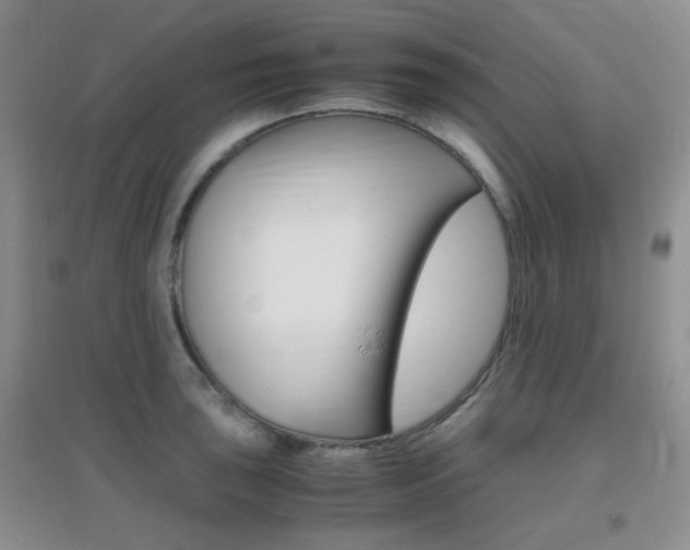 X0000096941043200802080854
