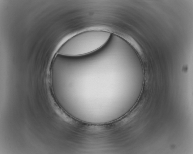 X0000096941044200802080854