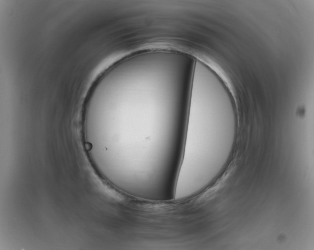 X0000096941045200802080854