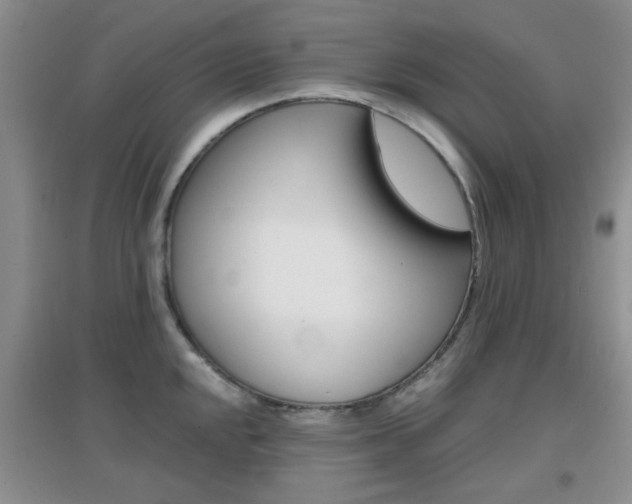 X0000096941048200802080854