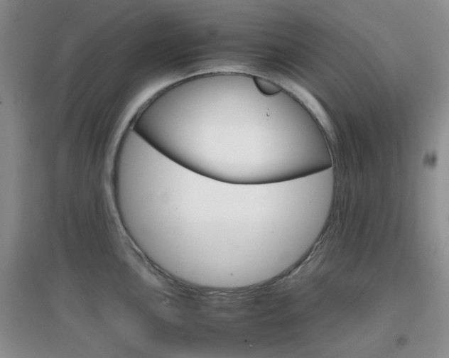 X0000096941051200802080854