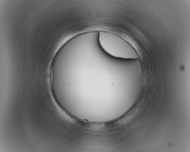 X0000096941055200802080854