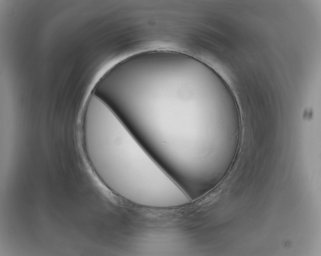 X0000096941056200802080854