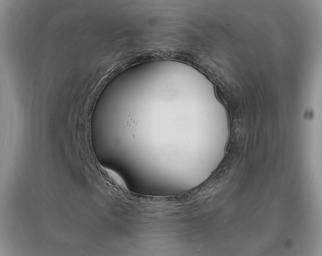 X0000096941057200802080853