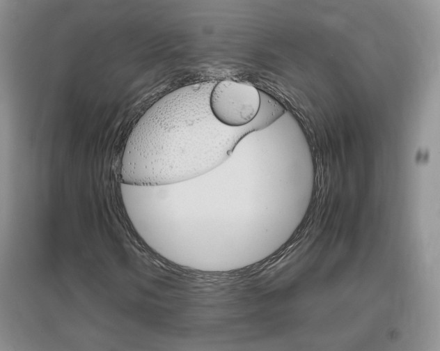X0000096941058200802080853