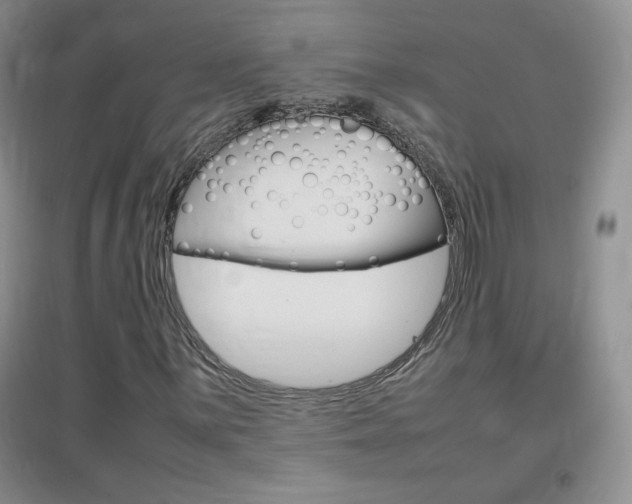 X0000096941059200802080853