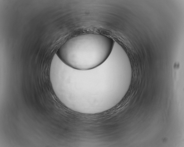 X0000096941060200802080853