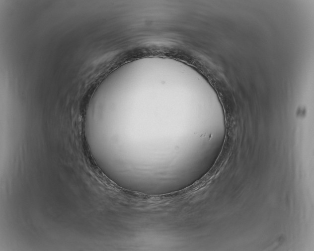 X0000096941061200802080853