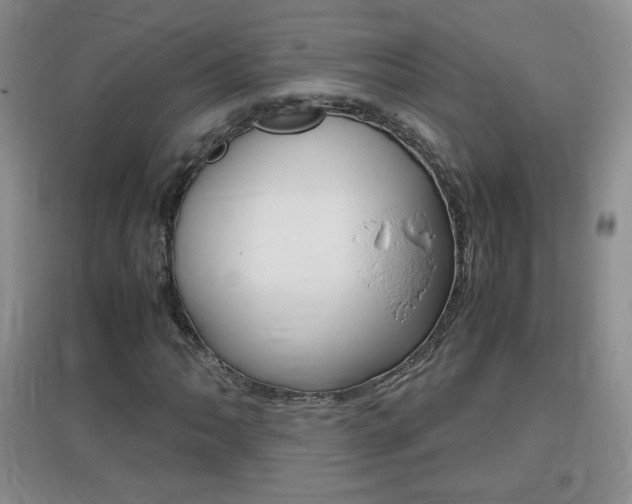 X0000096941062200802080853
