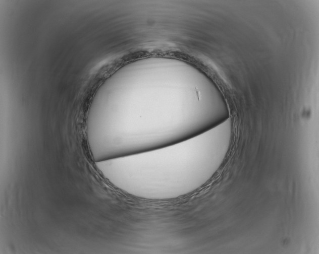 X0000096941063200802080853