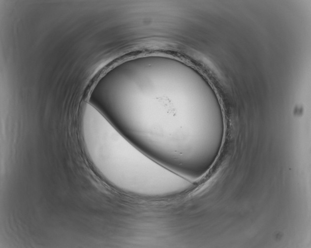 X0000096941065200802080853