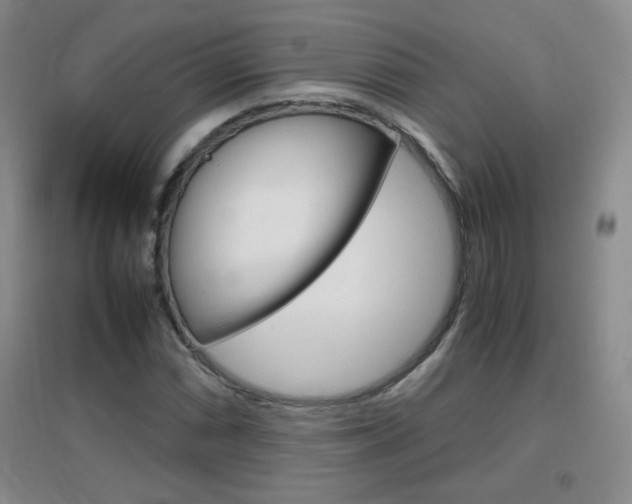 X0000096941066200802080853