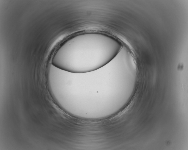 X0000096941067200802080853