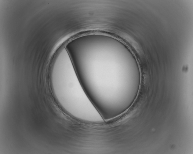 X0000096941069200802080853