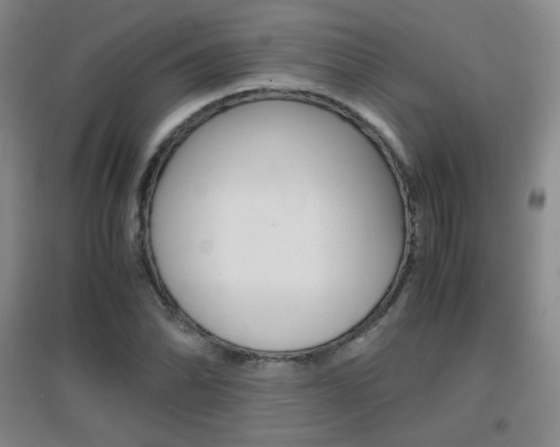 X0000096941070200802080853