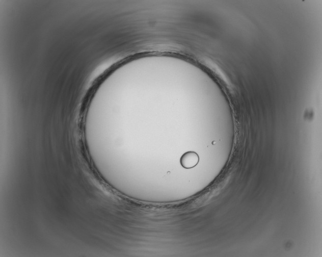 X0000096941071200802080853