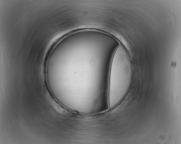 X0000096941072200802080853
