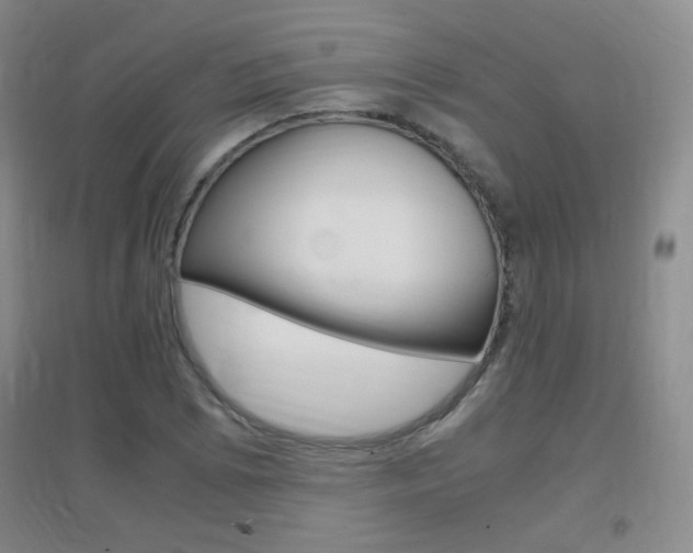X0000096941073200802080853