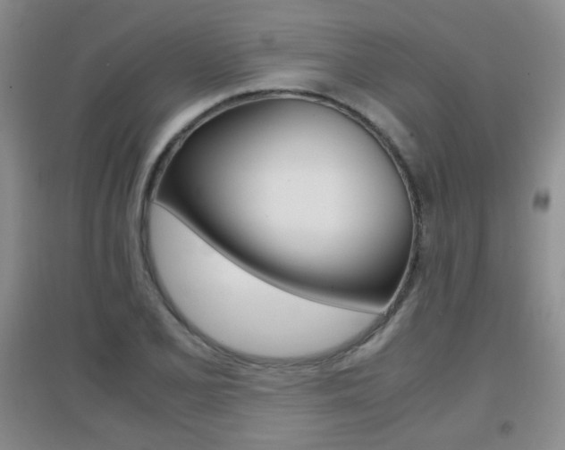X0000096941077200802080853