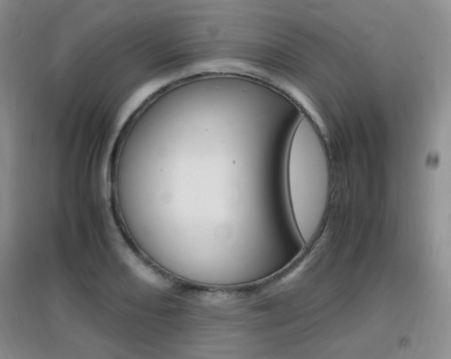 X0000096941082200802080853