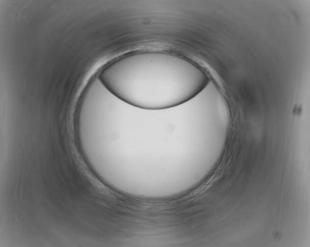 X0000096941083200802080853