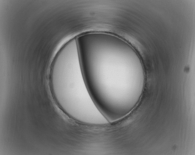 X0000096941085200802080853