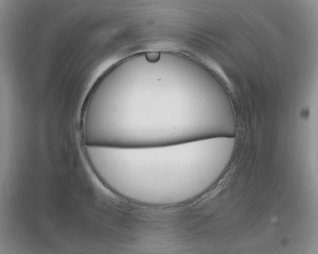X0000096941087200802080853