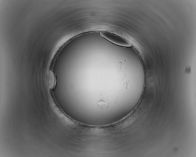 X0000096941088200802080853