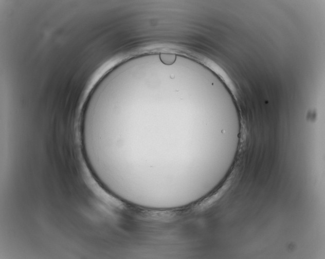 X0000096941090200802080853