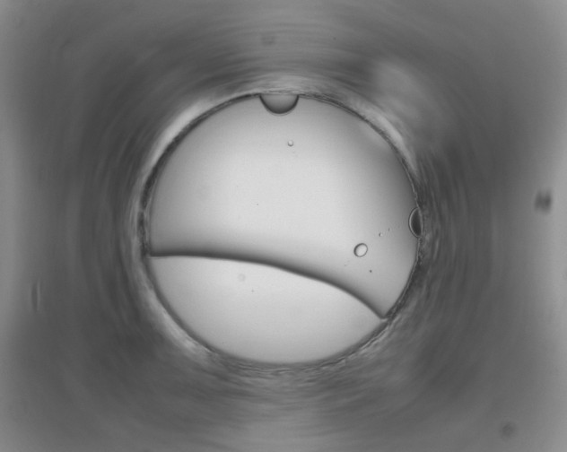 X0000096941091200802080853