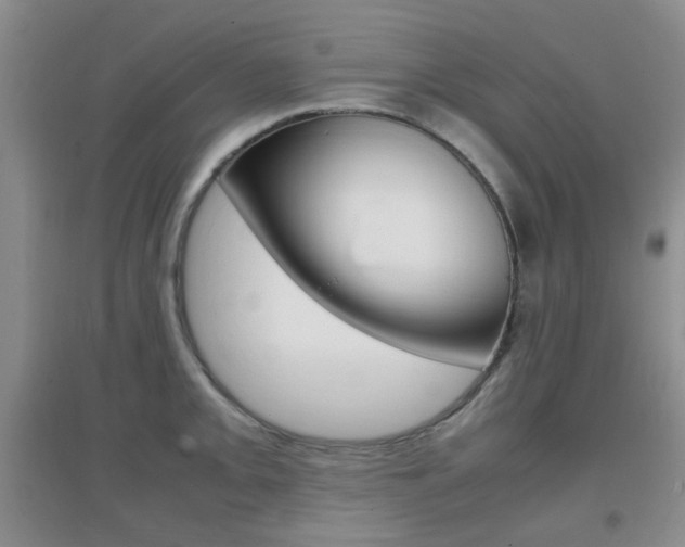 X0000096941093200802080853