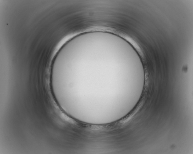 X0000096941094200802080853