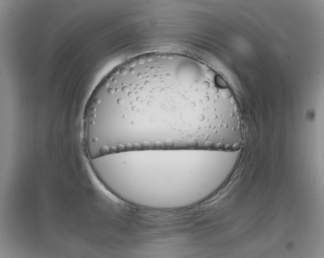 X0000096941095200802080853
