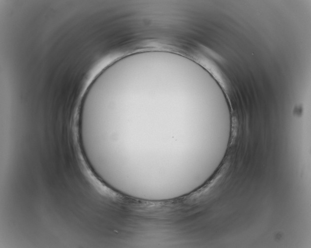 X0000096941098200802080853