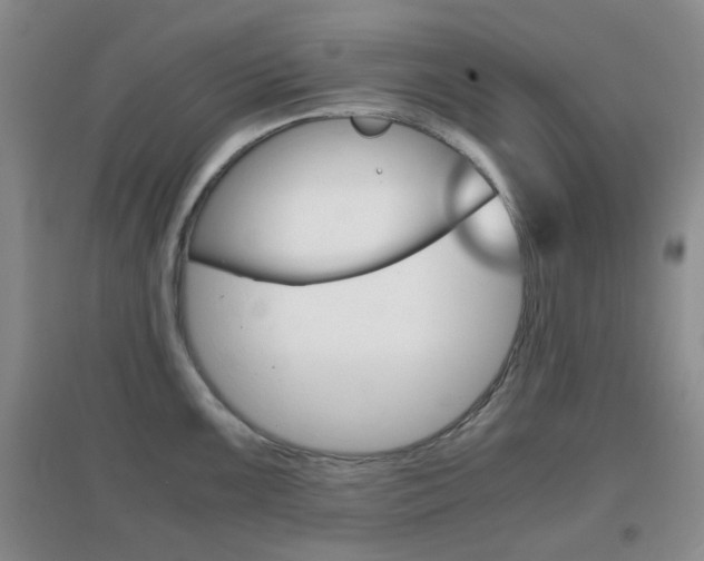 X0000096941099200802080853