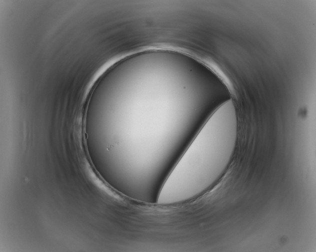 X0000096941100200802080853
