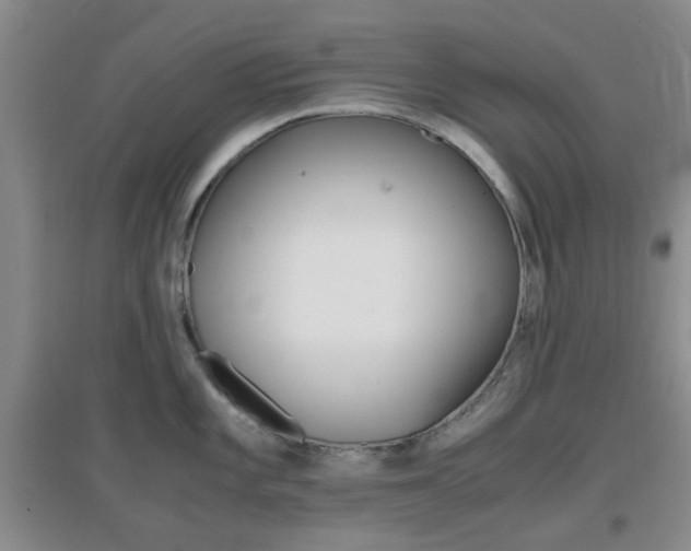 X0000096941101200802080853