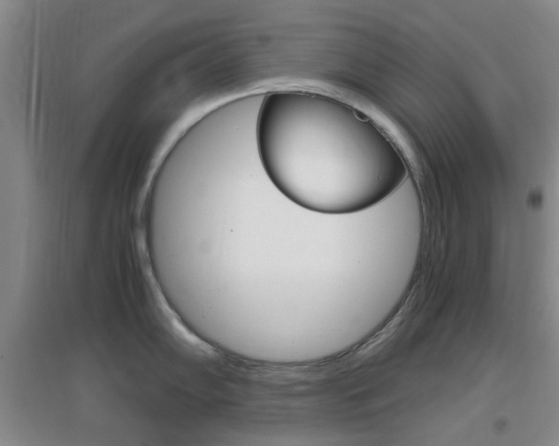 X0000096941102200802080853