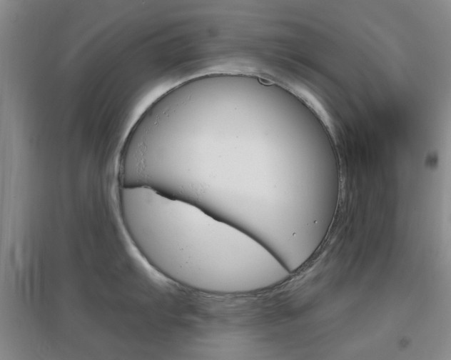 X0000096941103200802080853