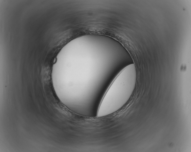 X0000096941107200802080852