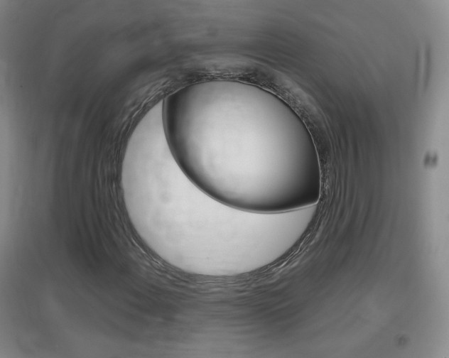X0000096941108200802080852